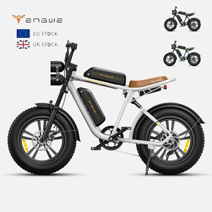 Dual Lithium Battery Retro Ebike