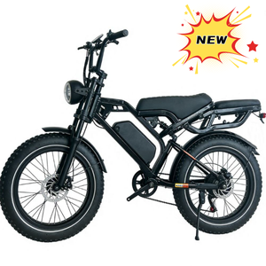 Wholesale Price V20 Retro Beach Cruiser Bicycle 20 Inch Fat Tire