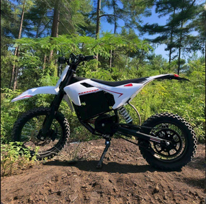 Mcg S3 60V 3200W Adult Electric Off-Road Motorcycle