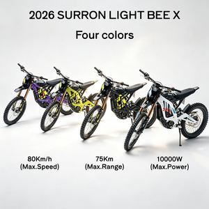 Lightweight Electric Dirt Bike OEM ODM Supplier