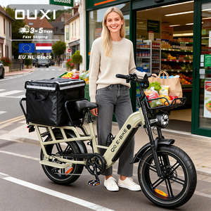 OUXI Q10 Smart Cargo Electric Bicycle