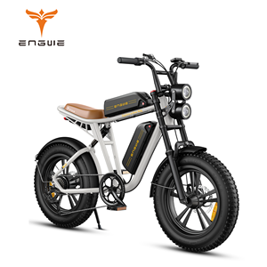 ENGWE M20 City Electric Bicycle Dual Suspension 48V 26Ah
