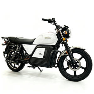 Powerful 72V Electric Bicycle Detachable Battery Hub Motor