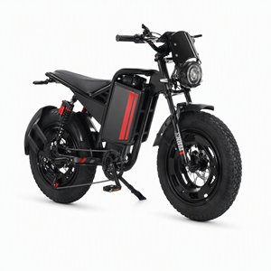 Electric Bike 750W 48V 15AH Grey Comfort Ride LCD Display Dual Suspension Relaxed Style Daily Cruiser for Relaxed Routes