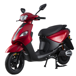 Peerless JOG Lithium Electric Motorcycle 2000W/3000W Motor