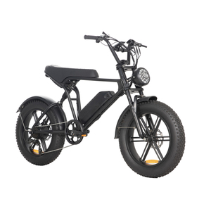 Retro Cruiser 500W 48V 15Ah Dual Suspension