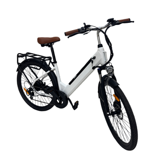 36V 250W City E Bike for Adults