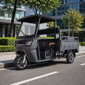 Commercial Transport Electric Motorcycle
