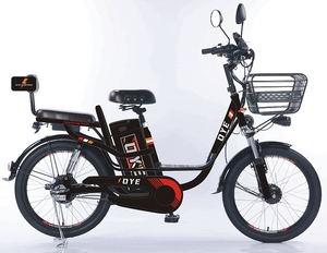Pro Motor Mountain Fat Bike