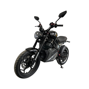 Super Power Electric Roadster Motorcycle for Adult