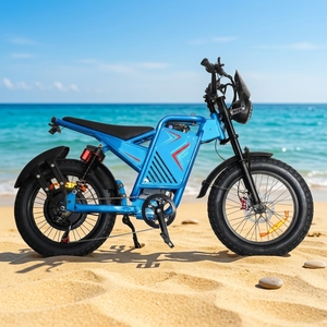OEM MOQ 1 Electric Mountain Bike Fat Tires 2000w