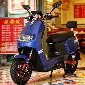 Sales of Custom-Made, Produced, and Assembled Electric Motorcycles