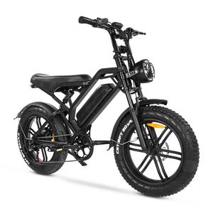Factory Price Fast Electric Bicycle 750w Fat Tire Ebike