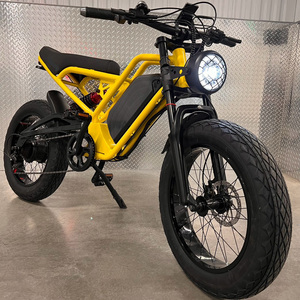 Fast Speed 40mph Super Motor Power 20 Inch 48V 750W Aluminum Alloy Enduro Frame