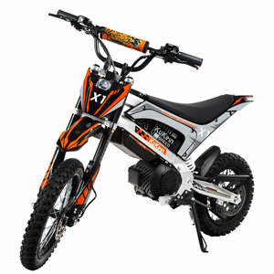 KuKirin X1 Electric Street Bike 48V 1000W