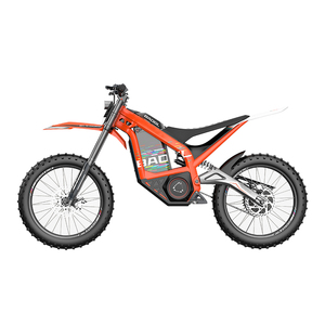 Vintage Enduro Electric Engine Bike Wholesale