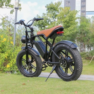 Fast Electric Bicycle Mountain Fatbike