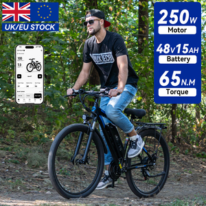 Drop Shipping EU UK Stock Duotts C29 29 Inch Bikes Electric