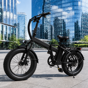 OEM Aluminum Alloy Folding Electric Bike