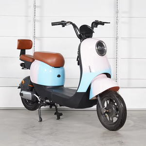 1000W Electric City Bike for Adults
