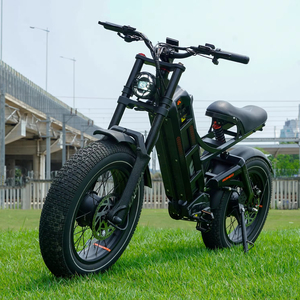 Fastest Electric Bike E-Bike 52V 60Ah Lithium Battery
