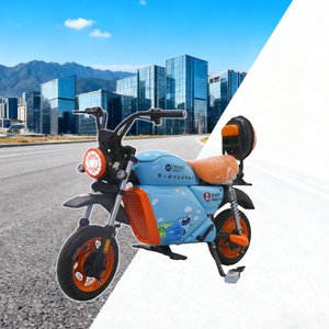 1000W High-Speed Electric Motorcycle 48V 50km/h