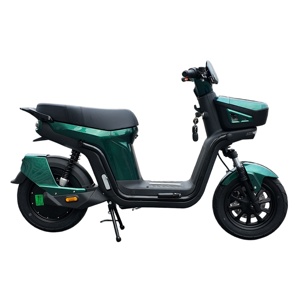 Heavy Duty Electric Motorcycle 1000W