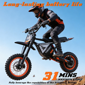 3000W 48V 30Ah High Power Electric Bike